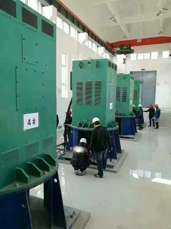 YKK450-4某污水处理厂使用我厂的立式高压电机安装现场生产厂家