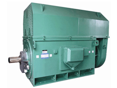 YKK450-4Y系列6KV高压电机